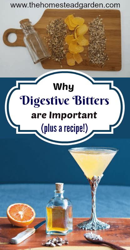 Why Digestive Bitters Are Important Plus A Recipe Digestive Bitters