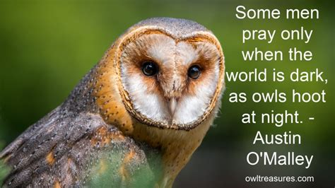 Owl Quotes And Sayings Owl Treasures