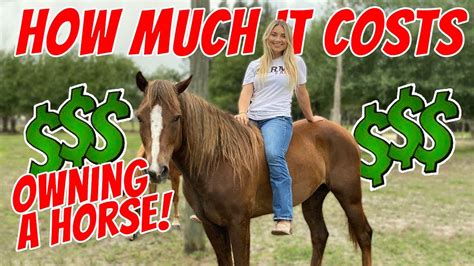 How Much Does A Horse Cost To Buy