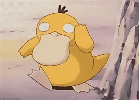 Kwak The Psyduck Company Pr Sentation Et Recrutement Des Clans