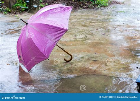 Purple Umbrella In The Rain Stock Photo Image Of Floating Assistance