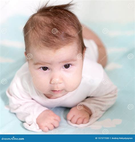 Portrait Of Newborn Caucasian Baby Holding Head Leaning On Arms Brown