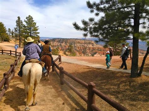 Camping And Horses Bryce Canyon Southern Utah Bucket List Ride