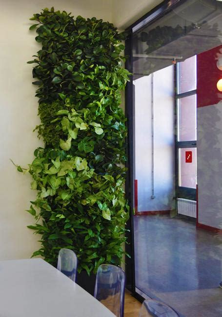 Vertical Garden Design Ideas Green Wall Decorations For Every Room