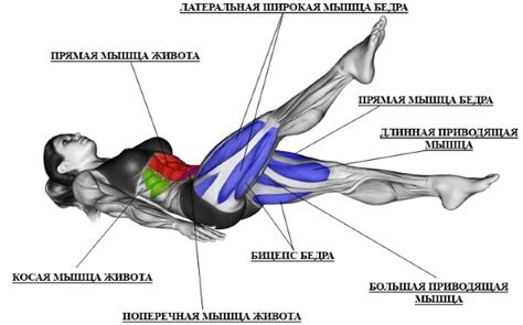 Tijeras De Ejercicio Para Las Piernas Qué Músculos Funcionan Beneficios Para Las Mujeres