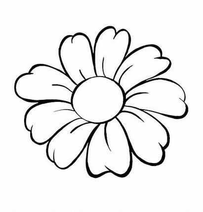 Drawing Outline Cherry Blossom Flower Clipartmag Clipart