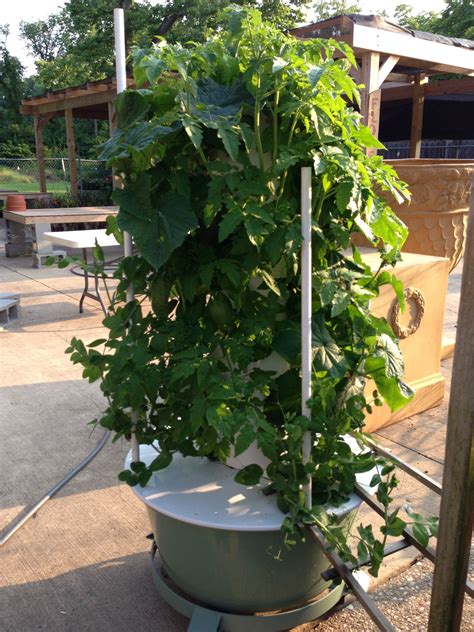 How to make a vertical tower hydroponic system part 2. Hydroponic Tower garden | Vertical garden diy, Hydroponic ...