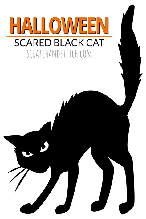 8 Easy Halloween Decor Ideas Black Cat