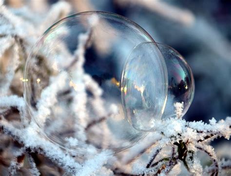 Free Picture Nature Winter Snow Sphere Ice Reflection