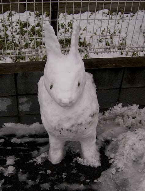Snow Bunny 2 It Snowed In The Kanto Region Today A Pretty Flickr