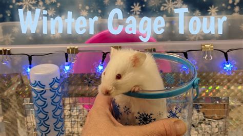 Hamster Winter Bin Cage Tour Baby Hamster Youtube