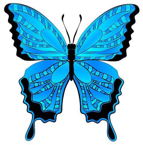 Butterfly Image Clip Art Clipart Best