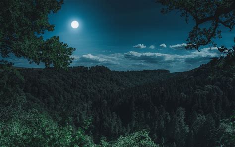 Download Wallpaper 3840x2400 Forest Mountains Moon Clouds 4k Ultra