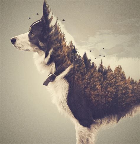 18 Excellent Examples Of Double Exposure Images