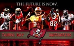 Tampa Bay Buccaneers Wallpapers (52+ pictures)