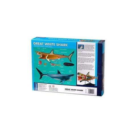 Buy Thames And Kosmos Nature Discovery Great White Shark Anatomy At
