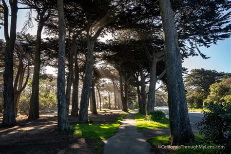 Golden Gate Park Explore Of The Best Spots In San Franciscos Famous