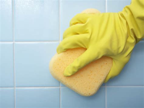 Combating Mold In Your Home American Lifestyle Magazine