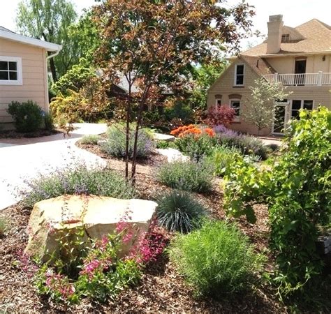 I Like The Tree And Vines In This Xeriscape Xeriscape Landscape