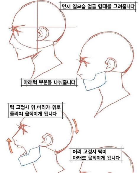 Side Profile View Nose Drawing Profile View Drawing