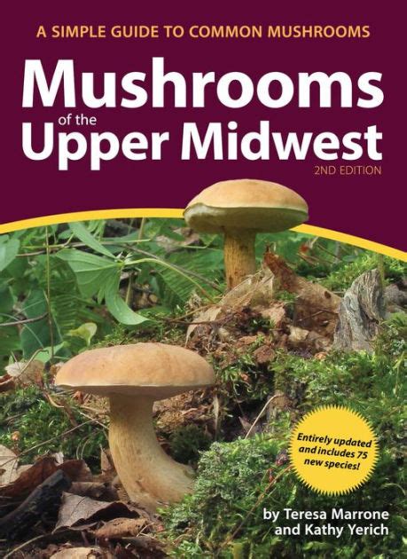 Mushrooms Of The Upper Midwest A Simple Guide To Common Mushrooms By