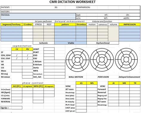 Cardiac Mri Worksheet For Dictation Nuclear Medicine Mri Subclavian My Xxx Hot Girl