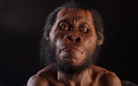 Then in 2013, paleoanthropologist and national geographic. Homo Naledi, spesies baru manusia purba Afrika Selatan