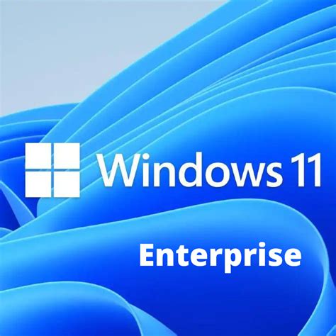 Windows 11 Enterprise 2999 Instant Delivery