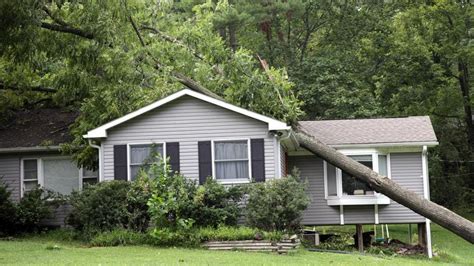 Heres What To Do If A Tree Falls On Your Home Forbes Home