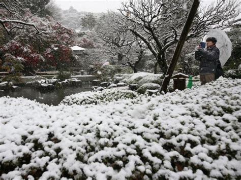 ≡ First November Snow In Tokyo Since 1962 And It Looks Fabulous Brain