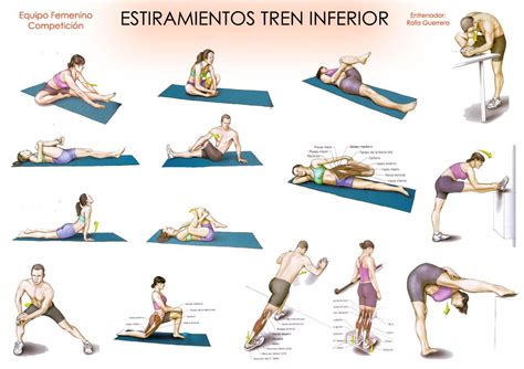 Estiramientos Tren Inferior Estiramientos Estiramiento De Piernas