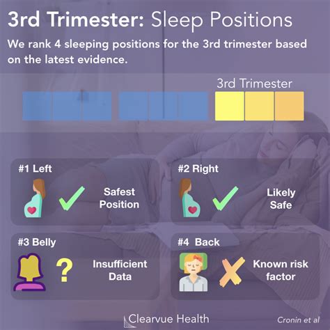 4 charts 3rd trimester sleeping positions ranked visualized science