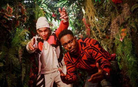 Singer and performer whose debut ep karate was released in october 2015. Dizzee Rascal shares colourful new video for 'Don't Be Dumb'
