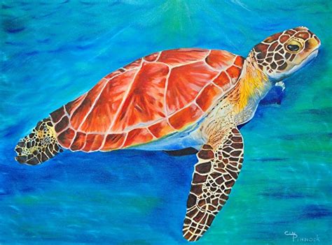 Cindy Pinnock Work Detail Sea Turtle