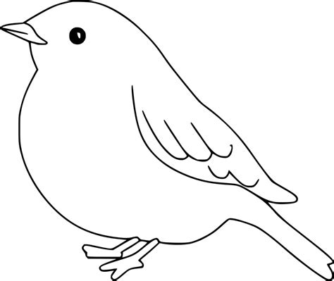 Adorable Robin Bird Coloring Page Download Print Or Color Online For