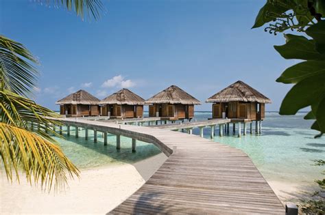 Lux South Ari Atoll Resort And Villas Maldives Timbuktu Travel