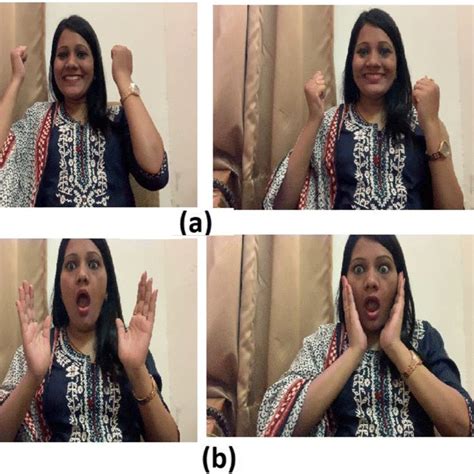 fer2013 training samples with respective facial expressions arranged in download scientific