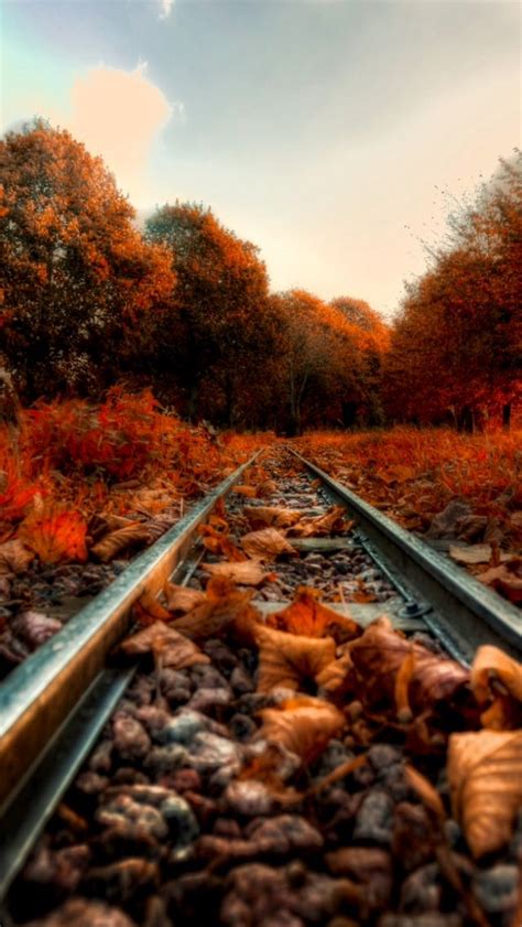 Leaves On The Track Source Train Tracks Railroad Tracks