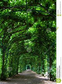 Image result for green arbour