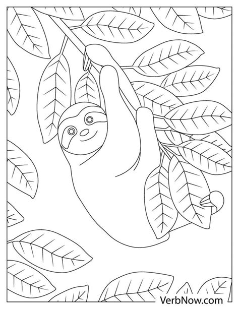 Free Sloth Coloring Pages And Book For Download Printable Pdf Verbnow