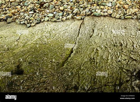 Big Rocky Surface And Small Stones On The Beach Stock Photo Alamy