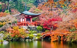 Tempio di Daigoji | Travel Japan - Ente Nazionale del Turismo ...