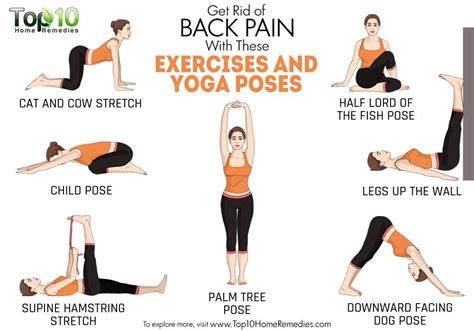 Get Rid Of Back Pain With These Exercises And Yoga Poses Top 10 Home