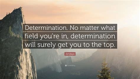 Zendaya Quote Determination No Matter What Field Youre In