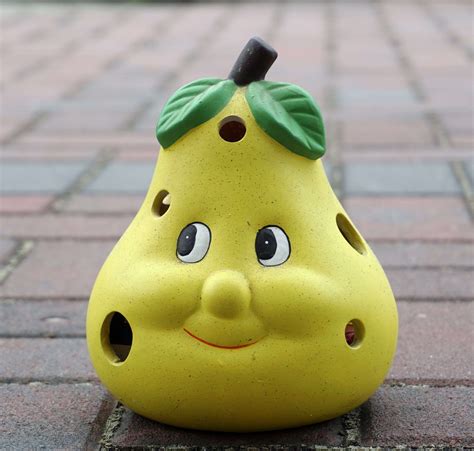Cheerful Face Fig Funny Happy Joy Laugh Pear Cheer Laugh Fig