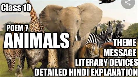 यह सभी hindi poem for class 1 की कविताएँ बिल्कुल आसान और सरल भाषा में हैं. Animals Class 10 Poem in Hindi. - YouTube