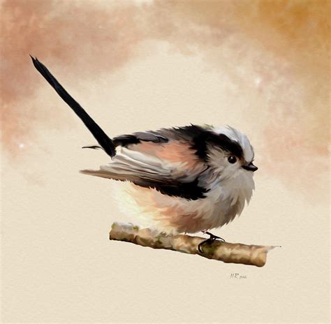 Long Tailed Tit Aegithalos Caudatus Painting By Bamalam Photography