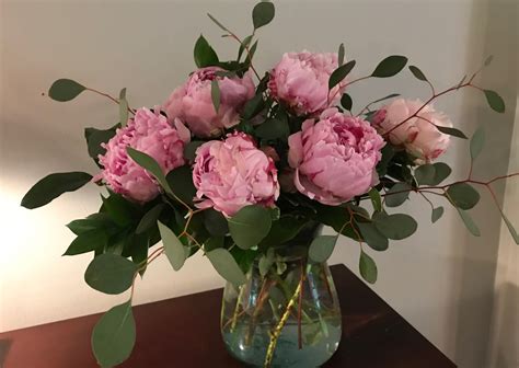 We did not find results for: Pink peonies flower delivery Norfolk Virginia in Norfolk ...