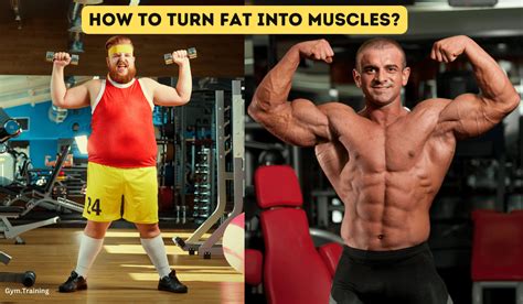How To Turn Fat Into Muscles Gym Training