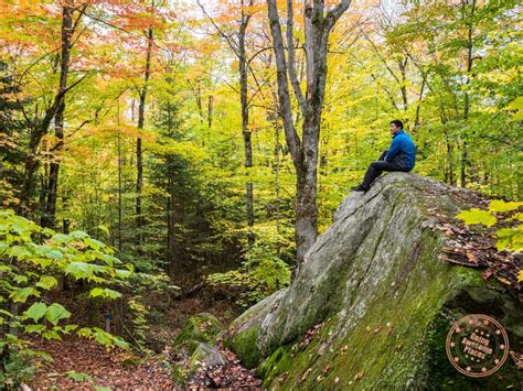 Best Provincial Parks To See The Ontario Fall Colours Going Awesome